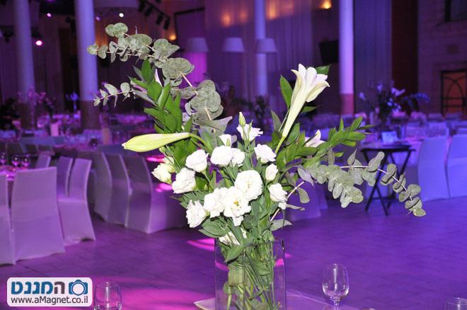 תמונה גדולה